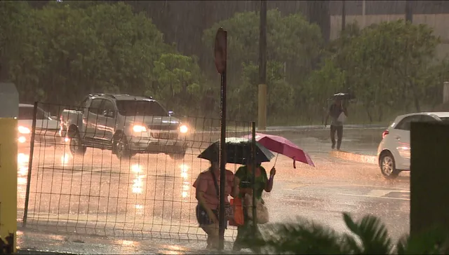 Chuva intensa atinge Manaus com mais de 70 milímetros e gera ocorrências nesta quinta-feira