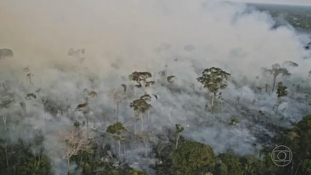 Ministério Público exige do Ipaam informações sobre autorias das queimadas no Amazonas