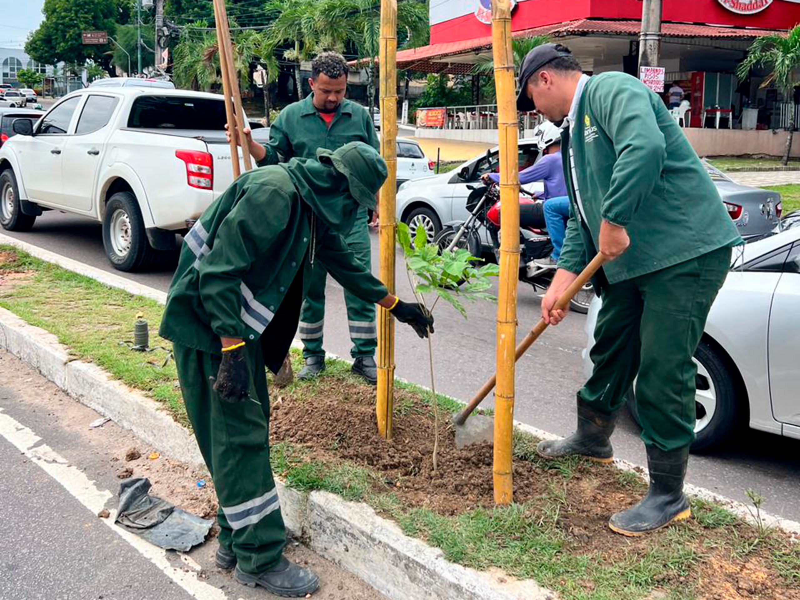 Prefeitura de Manaus executa plantio e manutenção de árvores em quatro locais da cidade.