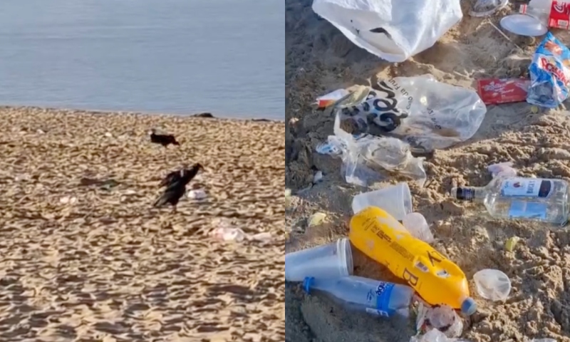 “Descarte a céu aberto: Praia da Ponta Negra desperta suja após fim de semana movimentado em Manaus; assista aos vídeos”