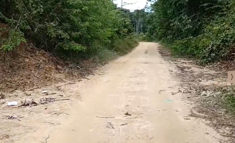 Urgente: Corpo é encontrado por moradores em ramal da BR-174, em Manaus; veja vídeos